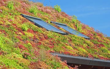 Drumry living roof systems