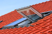 Drumry roof window