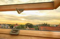 rated Drumry roof window companies